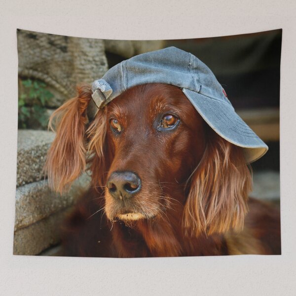 Item preview, Irish Setter ~ cheeky ~ designed and sold by laura-S.
