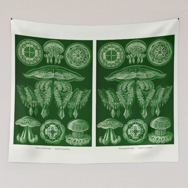 Item preview, Plate 88. Discomedusae. A grouping of disc-shaped jellyfish. designed and sold by Squirrox.