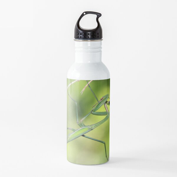 Praying Mantis Preening Water Bottle