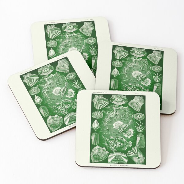 Item preview, Plate 87. Teleostei. An infraclass of the Actinopterygii. designed and sold by Squirrox.