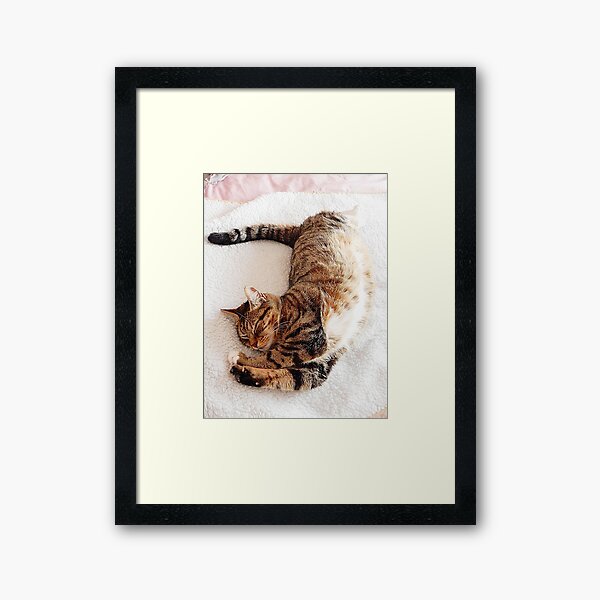 Lazy Sunday Afternoon Framed Art Print