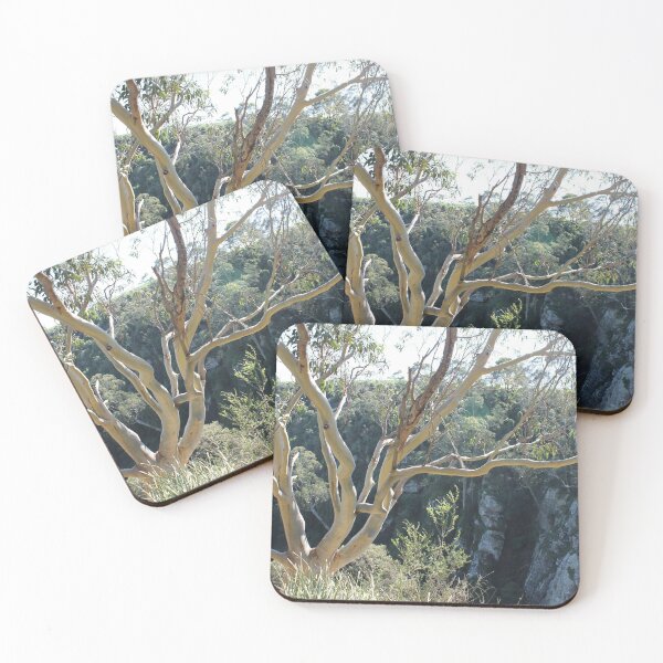 Item preview, Gum Tree at Agnes Water Falls designed and sold by EimearMac.