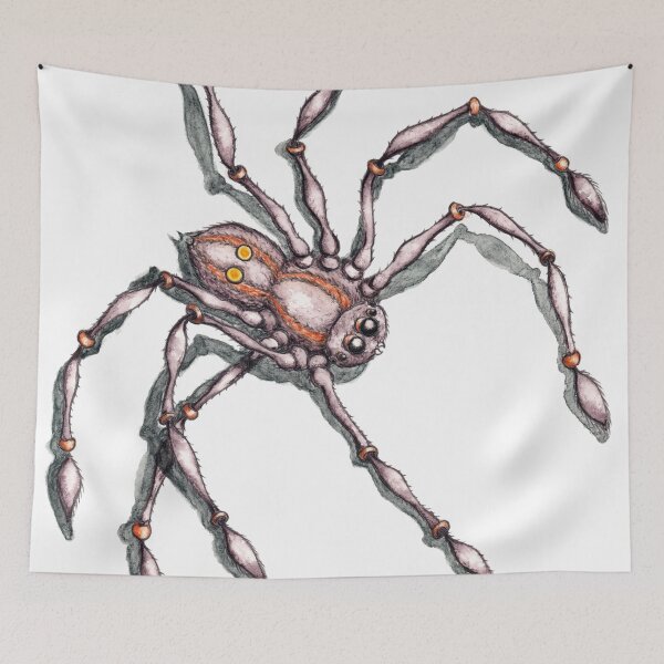 Item preview, I spy a spider and she see's me back designed and sold by Sharlzndollz.