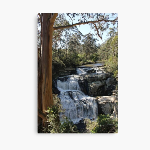 Item preview, Gum Tree beside Agnes Water Falls designed and sold by EimearMac.