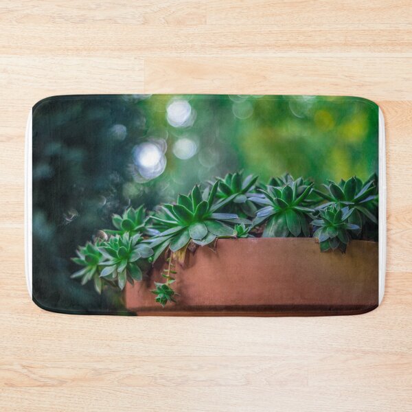 Item preview, Sempervivum plants in their flowerpot designed and sold by Tamas KLAUSZ.