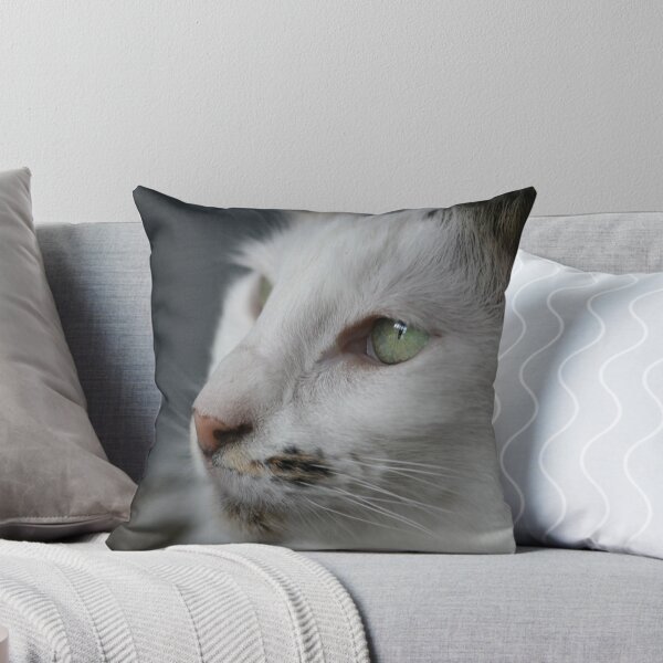 Item preview, Cats Life designed and sold by Joy Watson - Natural Light Photography .