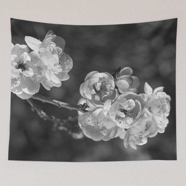 Item preview, Winters Prunus Blossom designed and sold by Joy Watson - Natural Light Photography .
