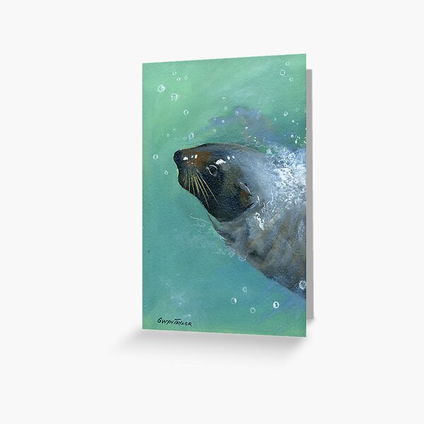 Item preview, Seal's visit designed and sold by gwyntay.