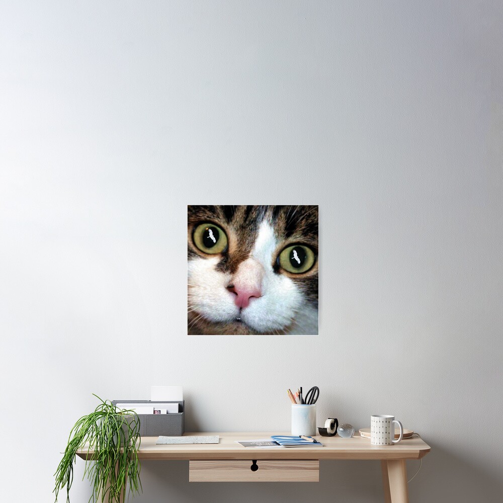 Cats Eyes Poster