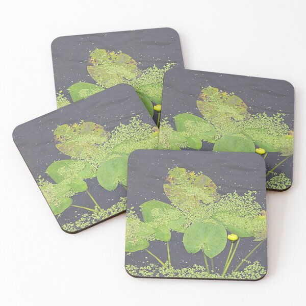 Item preview, Lone lilly. designed and sold by Paul Pasco.