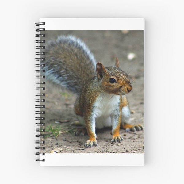 Item preview, Grey Squirrel designed and sold by ellenmpics.