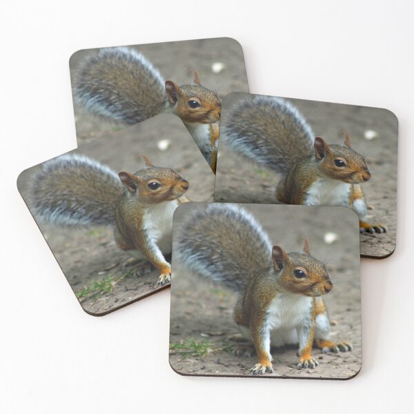Item preview, Grey Squirrel designed and sold by ellenmpics.