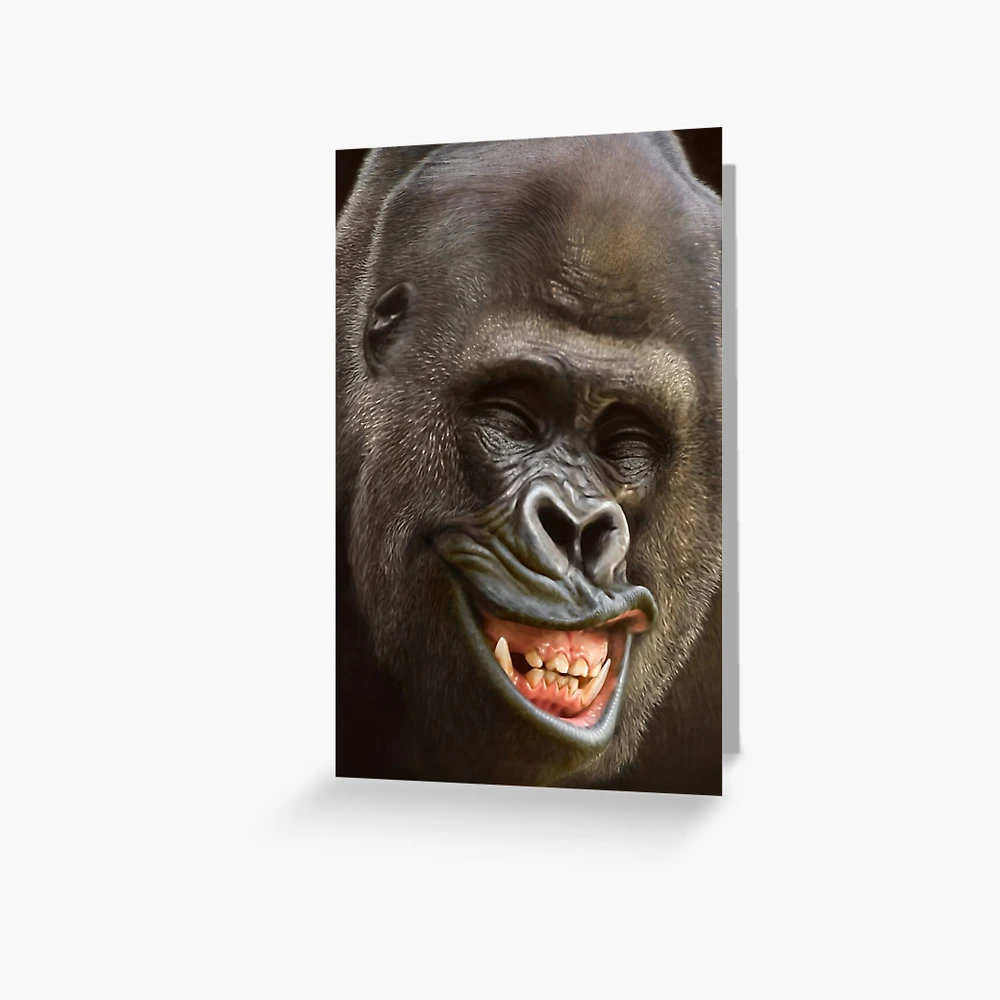 Silverback Western Lowland Gorilla Smiles Animals Gifts Greeting Card for  Sale by Dolphin Graphic