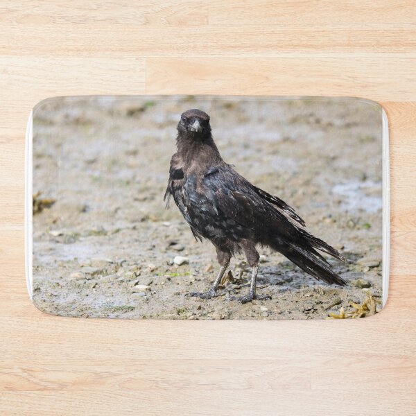 Item preview, Bad feather day designed and sold by GreyFeatherPhot.
