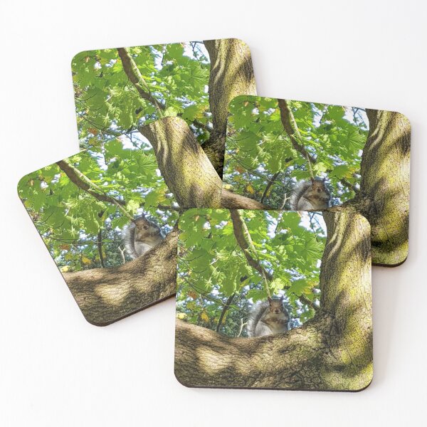 Item preview, A squirrel in a tree designed and sold by ellenhenry.