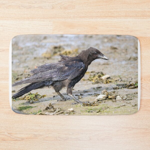 Item preview, Juvenile carrion crow designed and sold by GreyFeatherPhot.