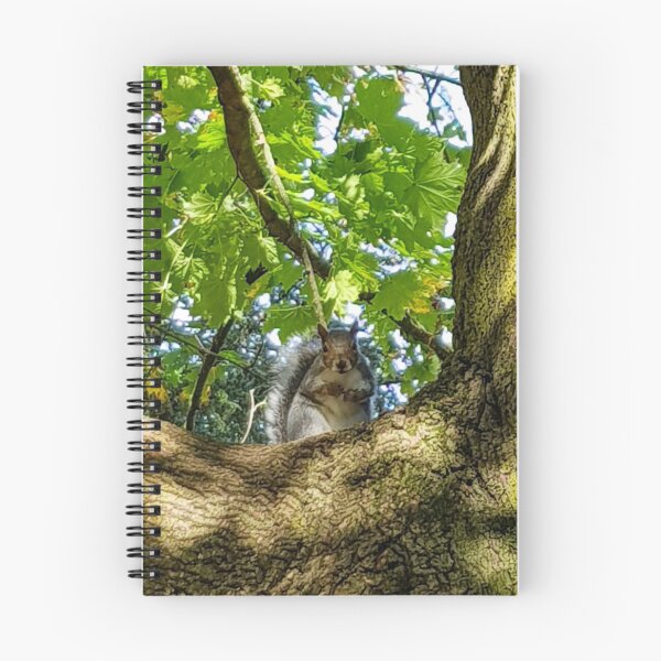 Item preview, A squirrel in a tree designed and sold by ellenhenry.