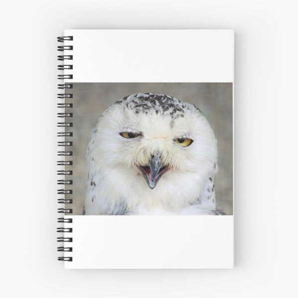 Item preview, Happy Snow Owl designed and sold by ellenmpics.