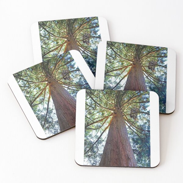 Item preview, Japanese, Cedar Tree designed and sold by ellenmpics.