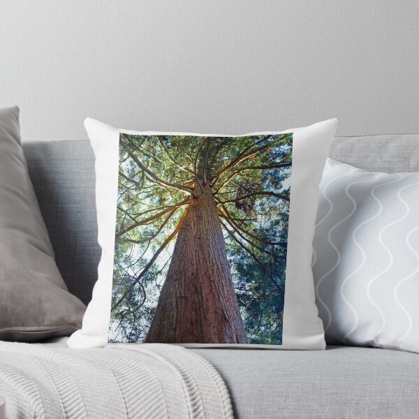 Item preview, Japanese, Cedar Tree designed and sold by ellenmpics.