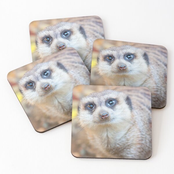Item preview, Meerkat designed and sold by Dominika Aniola.