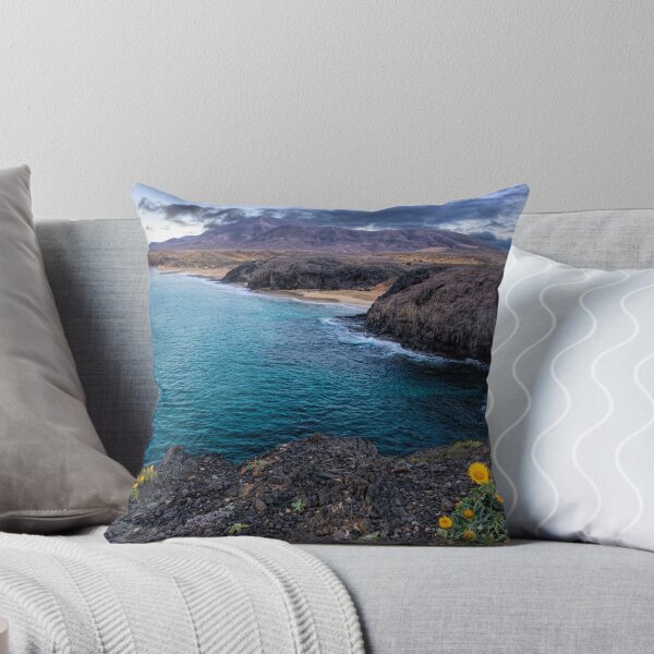 Item preview, Playa Papagayo designed and sold by iCimages.net.