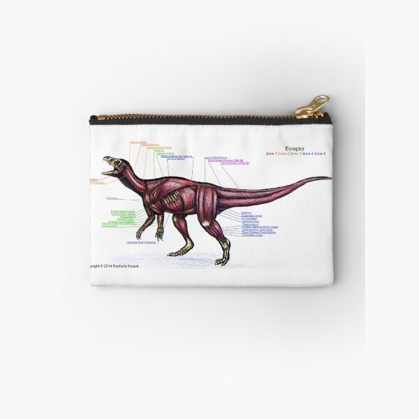 Item preview, Eoraptor Muscle Study designed and sold by Thedragonofdoom.