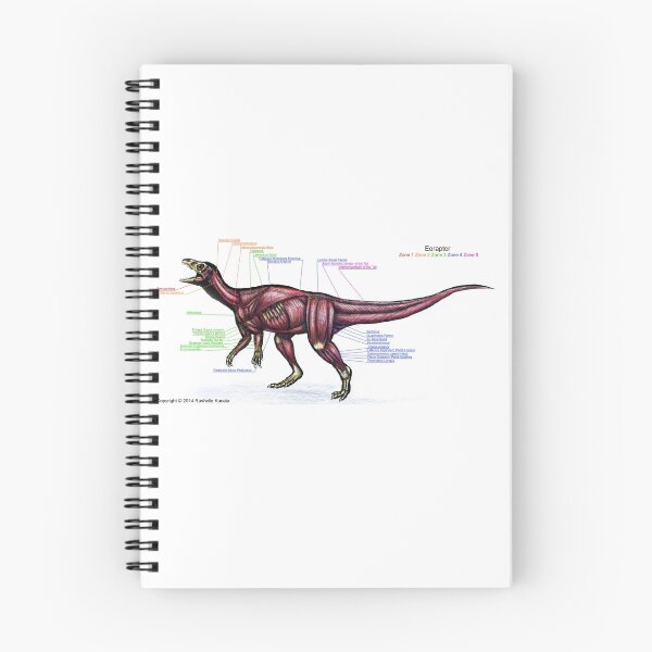 Item preview, Eoraptor Muscle Study designed and sold by Thedragonofdoom.