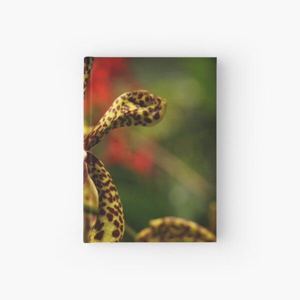 Singapore Orchids 6 Hardcover Journal