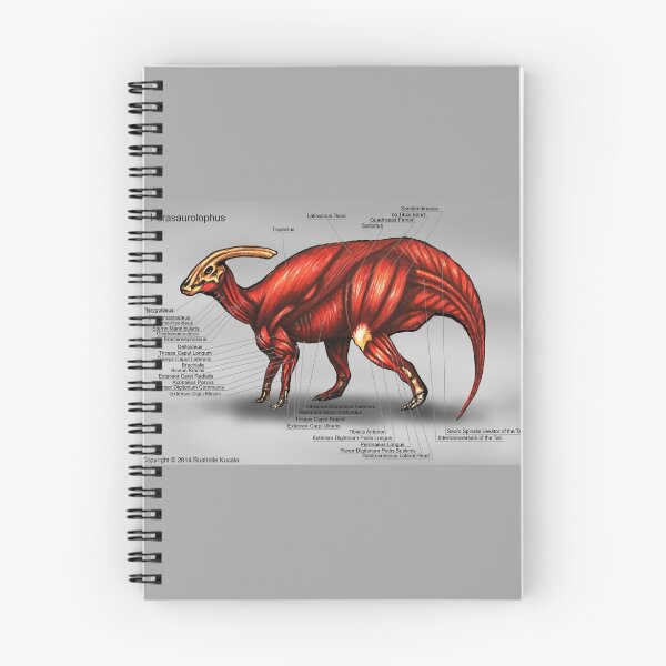 Item preview, Parasaurolophus Muscle Study designed and sold by Thedragonofdoom.