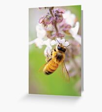 All happiness depends on a leisurely breakfast. Greeting Card