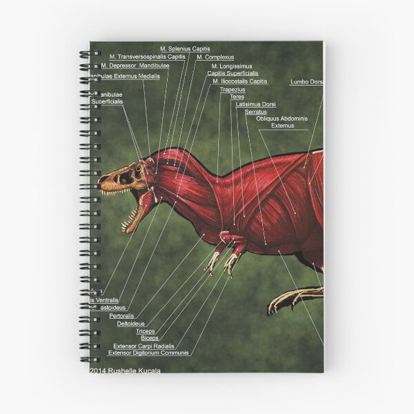 Item preview, Tyrannosaurus Rex Muscle Study designed and sold by Thedragonofdoom.