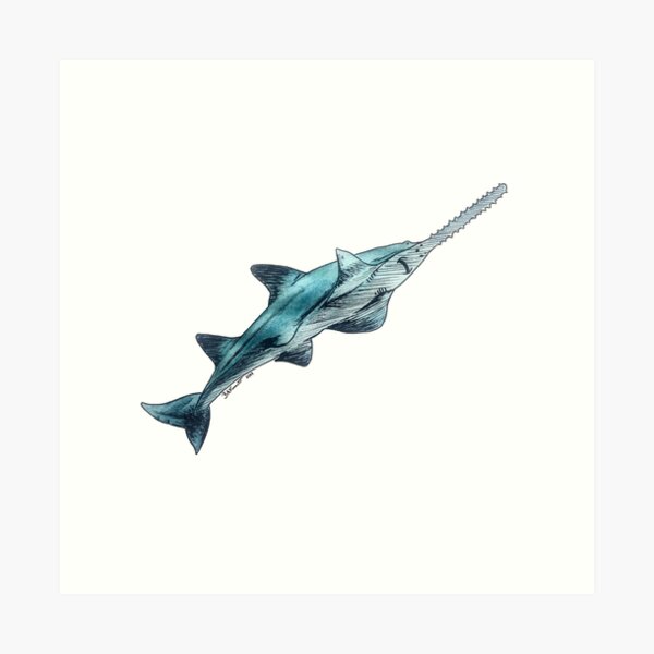 Item preview, Smalltooth Sawfish designed and sold by Bridget Vincent.
