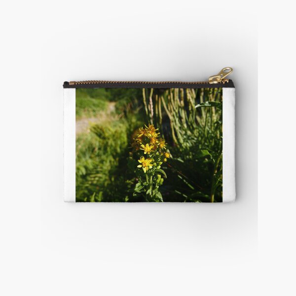 Item preview, European Goldenrod (Solidago virgaurea) designed and sold by IOMWildFlowers.