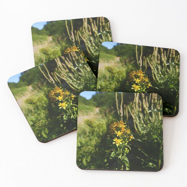 Item preview, European Goldenrod (Solidago virgaurea) designed and sold by IOMWildFlowers.