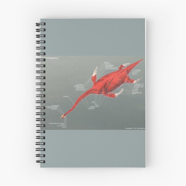 Item preview, Elasmosaurus Muscle Study designed and sold by Thedragonofdoom.