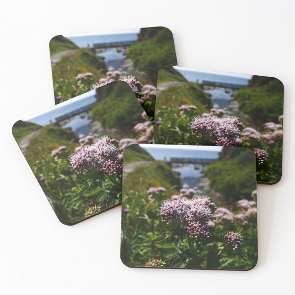 Item preview, Hemp Agrimony (Eupatorium cannabinum) designed and sold by IOMWildFlowers.
