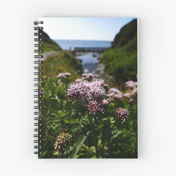 Item preview, Hemp Agrimony (Eupatorium cannabinum) designed and sold by IOMWildFlowers.