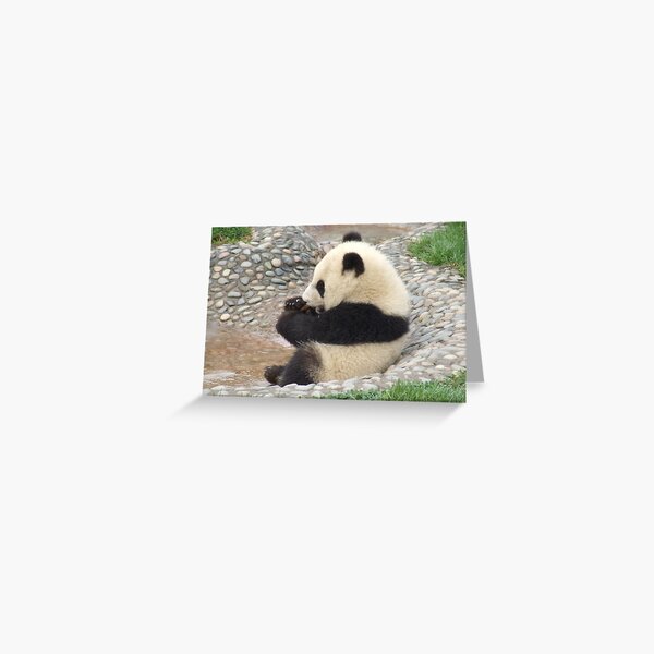 Panda Greeting Cards | Redbubble