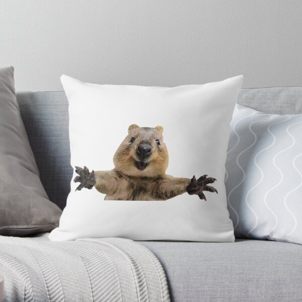 farm cushions