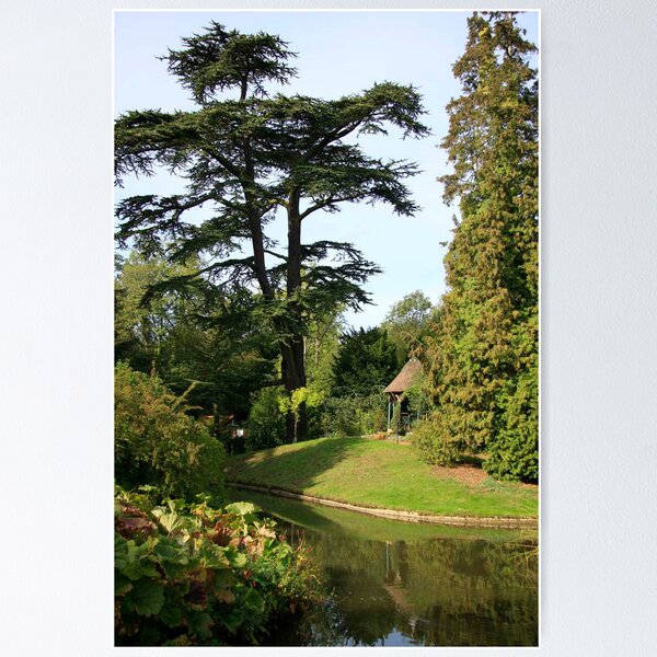 Item preview, Swiss garden at Shuttleworth designed and sold by Ian Salter.