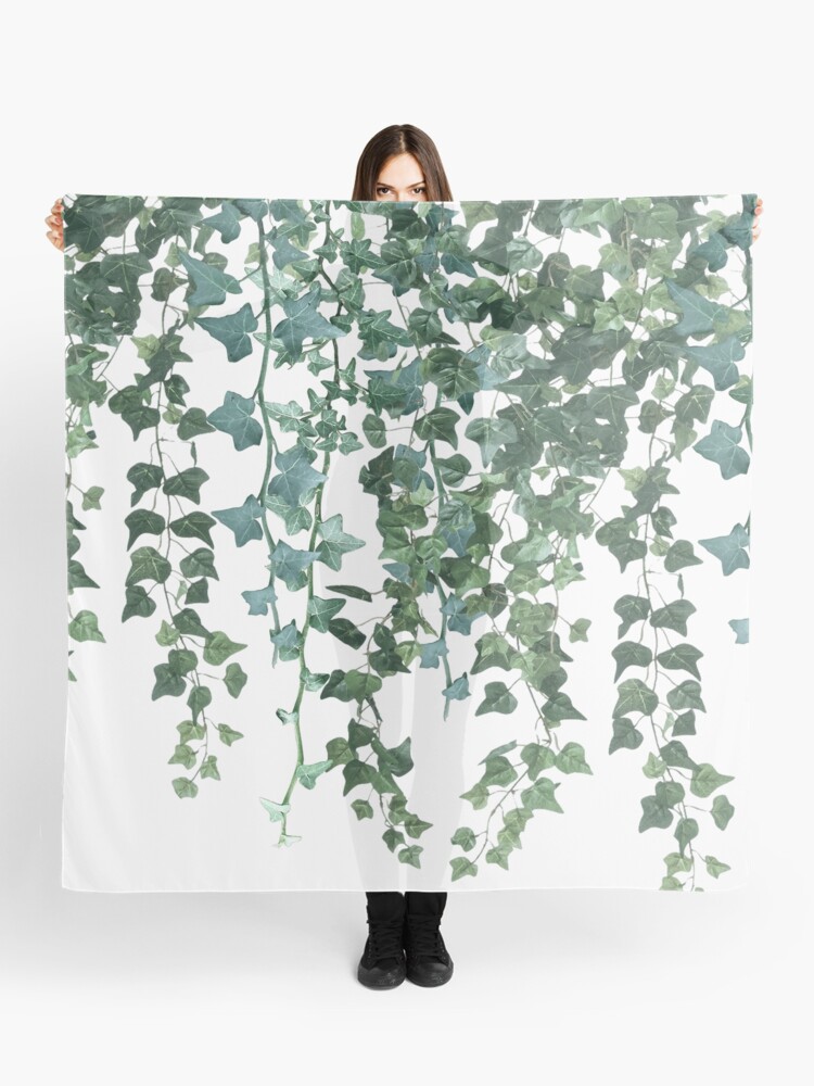 Ivy Hanging Vines  Shower Curtain for Sale by GlowinUp Shop
