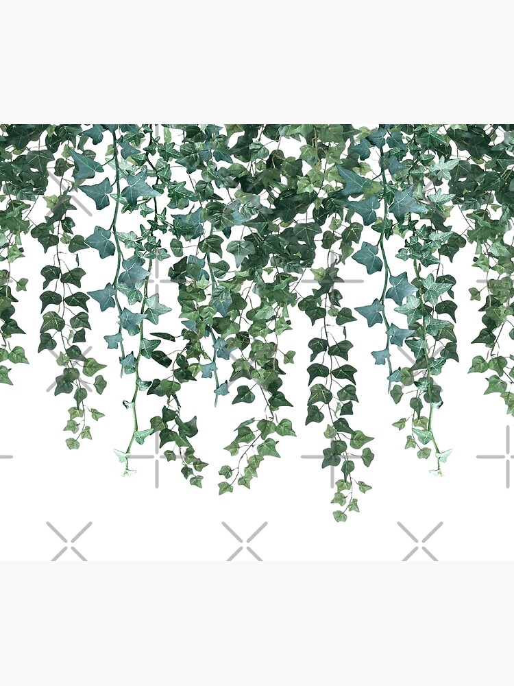 Ivy Hanging Vines  Throw Blanket for Sale by GlowinUp Shop