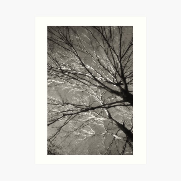 Farewell to the sun Art Print