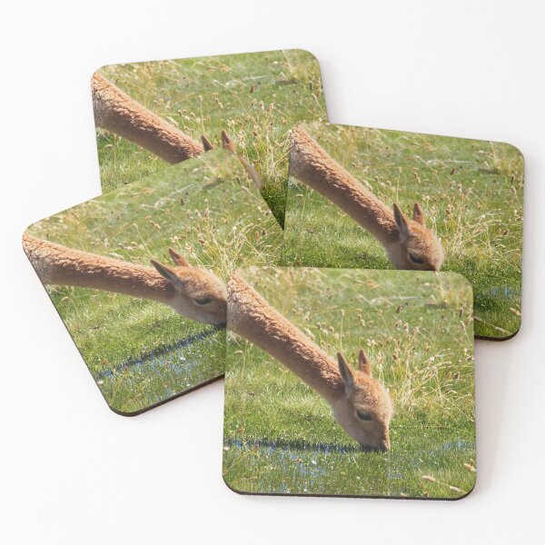 Item preview, Cute and fluffy in the Atacama Highlands designed and sold by walks4000.