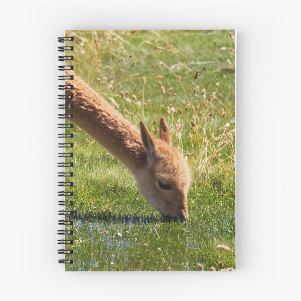 Item preview, Cute and fluffy in the Atacama Highlands designed and sold by walks4000.