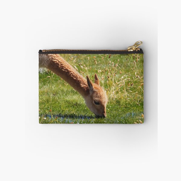 Item preview, Cute and fluffy in the Atacama Highlands designed and sold by walks4000.