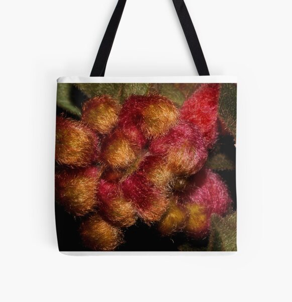 Item preview, Grevillea polybractea   designed and sold by andrachne.
