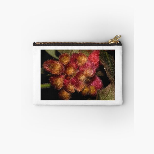 Item preview, Grevillea polybractea   designed and sold by andrachne.