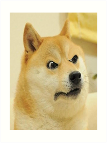 Angry Doge Meme Png